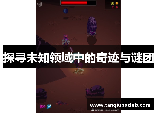 探寻未知领域中的奇迹与谜团